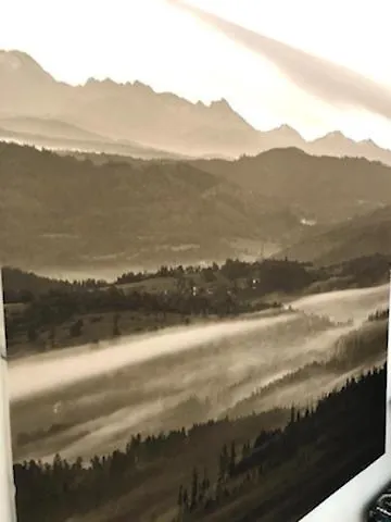 Апартаменты Apartament 44